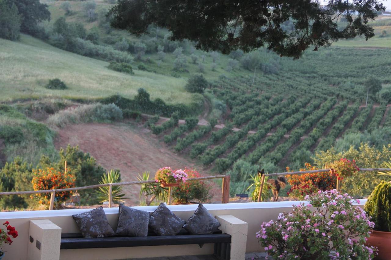 Terra Luso Proche De Montejunto Bed & Breakfast Cadaval Luaran gambar