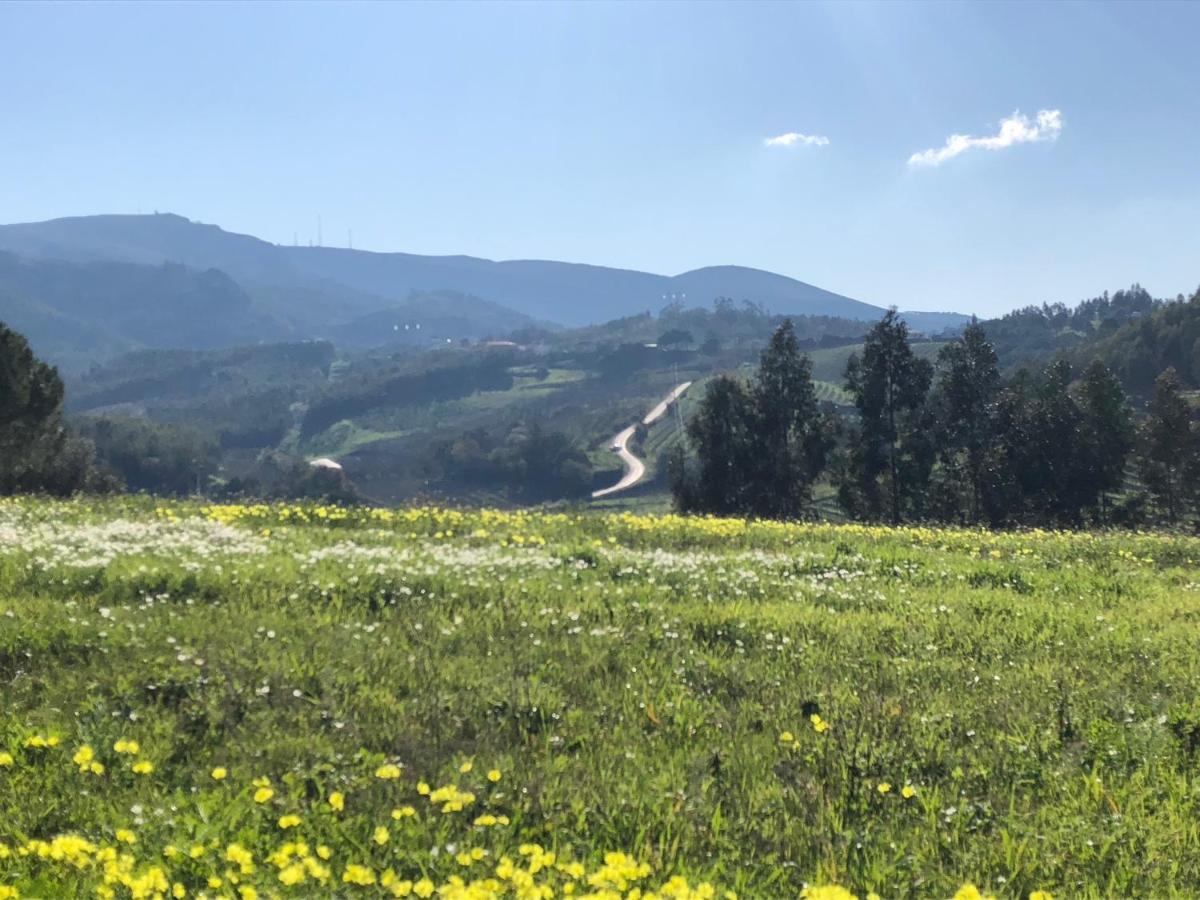 Terra Luso Proche De Montejunto Bed & Breakfast Cadaval Luaran gambar